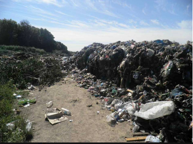 Ночью в Киевской области тайно выгрузили 40 тонн львовского мусора