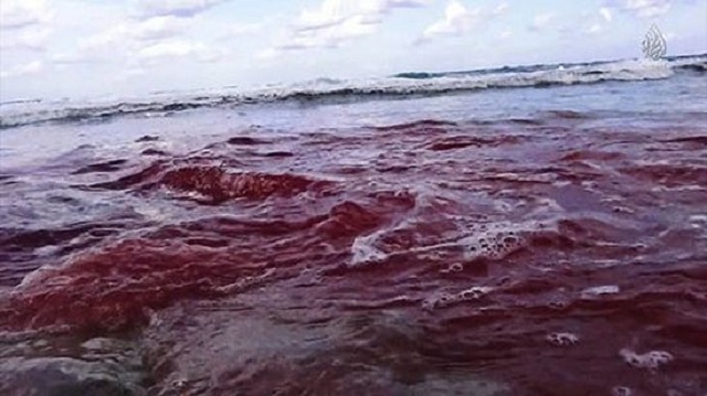 Прогулочный катер зарубил винтом неосторожного пловца в Николаевской области