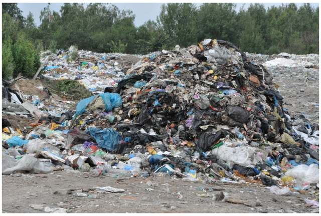 Львовский мусор снова обнаружили в Житомирской области