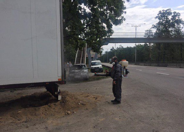 Смрад невыносимый: под Киевом среди трассы неделю гниет 20 тонн рыбы