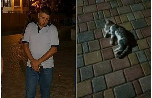 В Одессе мужчина, чтобы проучить дочь, выбросил с 14-го этажа её котёнка