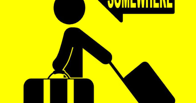 Миллионы уезжают, чтобы дождаться, когда альфасамцы и самки наведут тут порядок