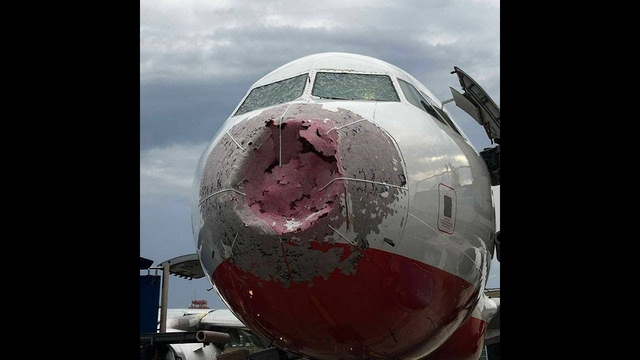 У Лаврова пригласили в Россию украинского пилота, спасшего самолет в Турции