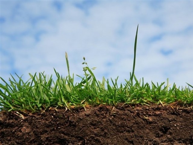 БПП, “Батьківщина” та Опоблок відбирають селянські землі на користь Московського патріархату