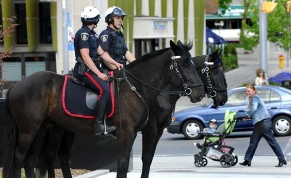 На что способны общины, когда объединяются ради безопасности. Опыт Канады