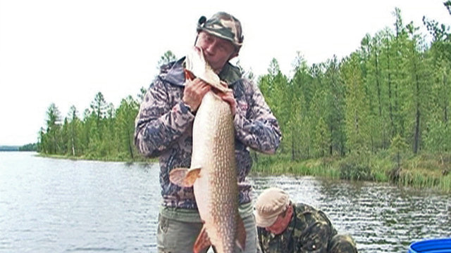 Уже не мачо: карикатура Елкина на полуголого Путина довела сеть до слез