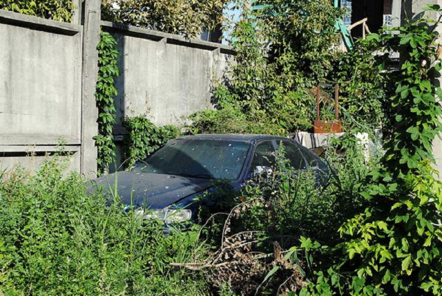 Превратят ли Украину «бляхари» в мусорник Европы