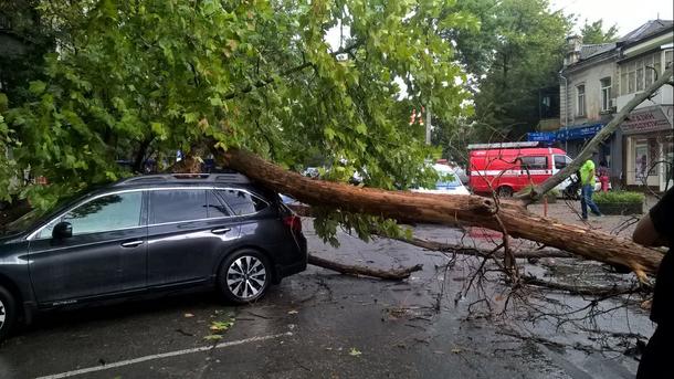 Непогода в Херсоне: падали деревья и балконы