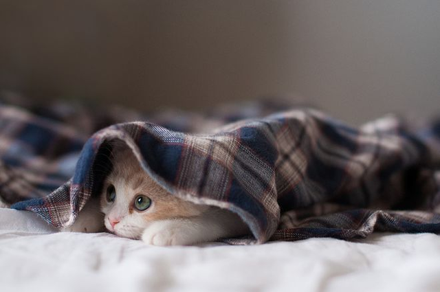 Украинцам снова хотят поднять цены на тепло