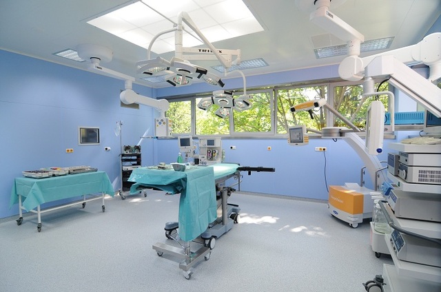 Почему СБУ не занимается Татьяной Бахтеевой и братьями Фисталями?