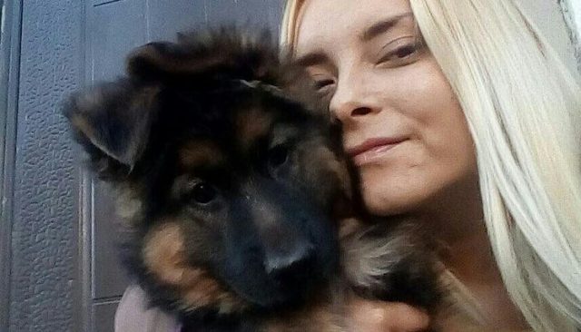 В Одессе жена жестоко поиздевалась над собакой из мести мужу