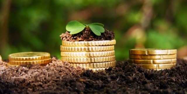 Косюк за півроку отримав з бюджету 42% всіх дотацій для аграріїв