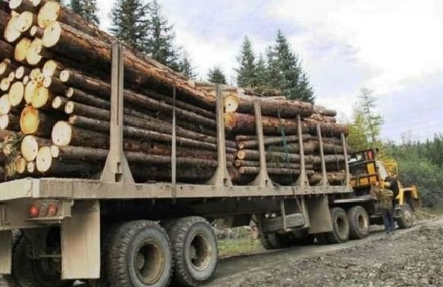 В Закарпатской области лесовоз упал в пропасть, двое человек погибли