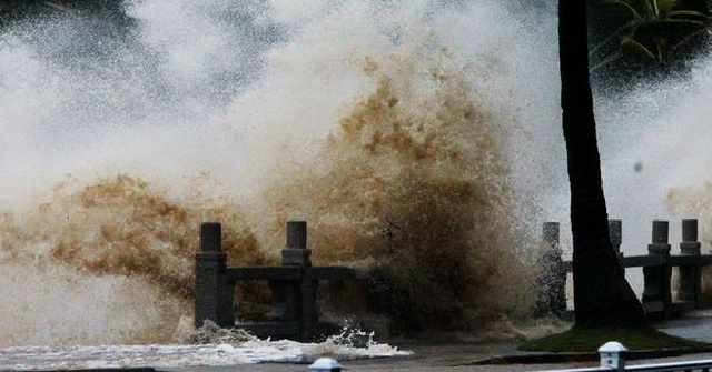 Гонконг в ожидании тайфуна: закрыты банки и школы, сотни рейсов отменены