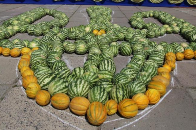 Под Херсоном из арбузов и дынь выложили огромный герб Украины