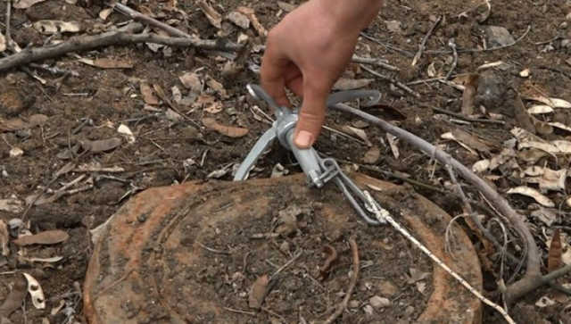 Женщина подорвалась на растяжке у Станицы Луганской