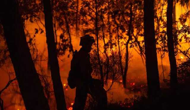 Жители Лос-Анджелеса в спешке покидают дома из-за лесных пожаров
