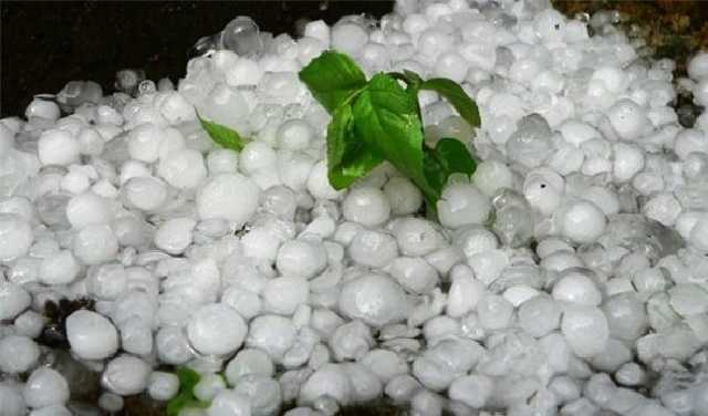 Винницу засыпало градом величиной с грецкий орех