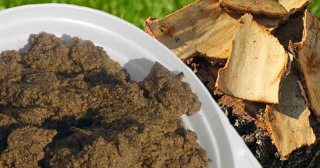 Каша из березы и суп из лебеды: в сети показали, как выживают россияне