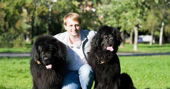 Судья отпустила Крымчака под смешной для него залог, - нардеп