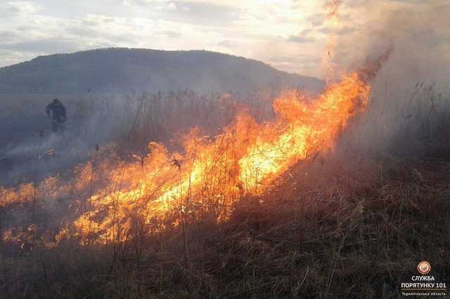 Под Кременчугом перекрыли трассу и эвакуируют дачников из-за лесного пожара