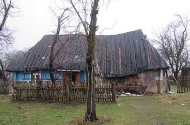 Масове вбивство на Прикарпатті: місцевих жителів охопила тривога