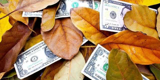 Валютная лихорадка: почему Нацбанк срочно избавляется от валюты