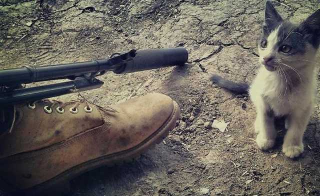 «Школьный мир»: 1 погибший, 4 раненых