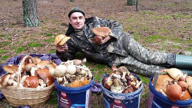 Почему в лесах Украины из-за грибов убивают