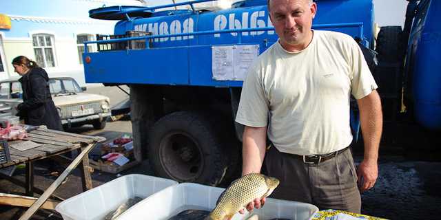 Грузовики дохлой рыбы из Запорожья отправились на рынки Украины! Будьте бдительны