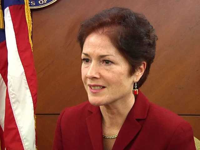 Посол США: Украине нужно повысить цены на газ