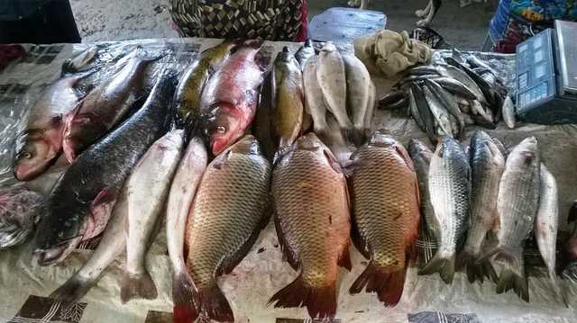 Українців продовжують труїти на базарах