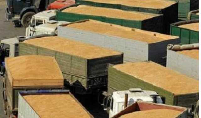 Особенности российского импортозамещения. Оккупанты вывозят донбасскую пшеницу в РФ