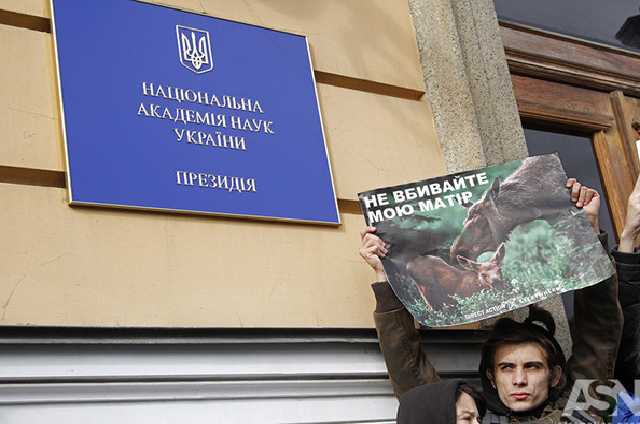 Зоозащитники и охотники едва не подрались под Академией наук из-за лосей