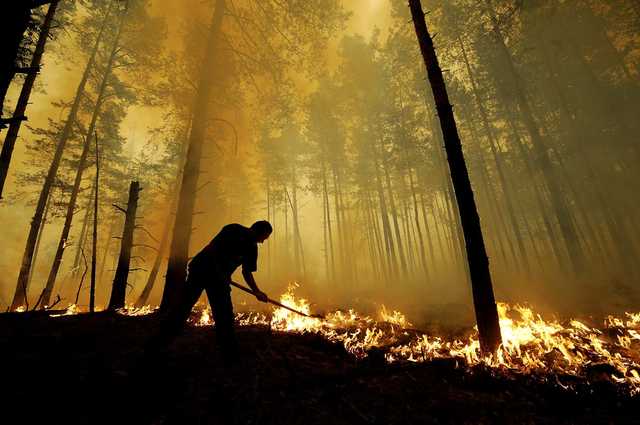 Кількість загиблих у Каліфорнії зросла до 35