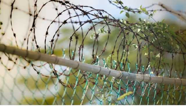 Арестанта обнаружили мертвым в Одесском СИЗО