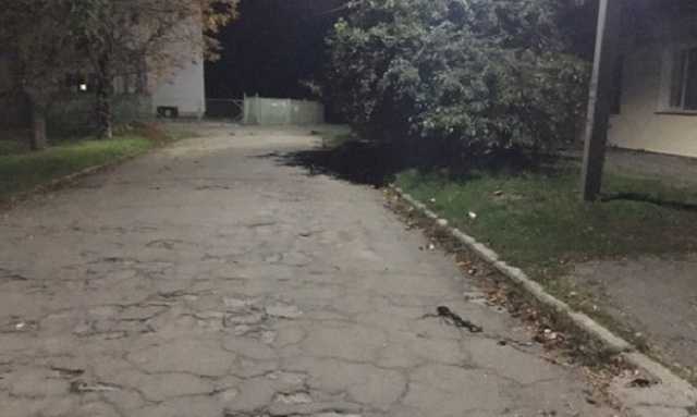 В Николаевской обл. ссора двух военных закончилась стрельбой, один из них ранен