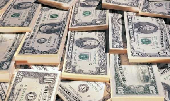 ГПУ нашла в клумбе у родни безработного 105 тысяч долларов