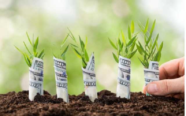 Земельная реформа в Украине: известный политик призвал приватизировать лес