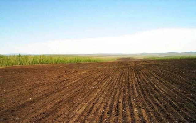 Приватизация земли: грабли, на которые наступит Украина