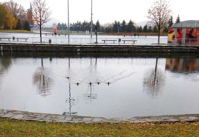 В соцсетях обратили внимание на новую проблему возле "Донбасс Арены"