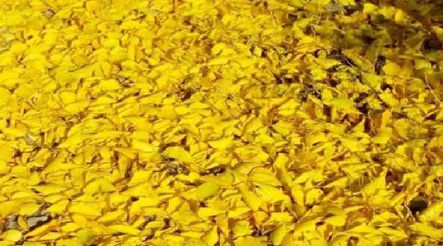 Народ в Луганске за три года правления "новороссов" сильно обездолился, – блогер