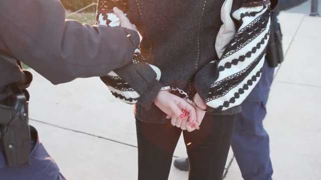 В США задержали украинку за протест против российских музыкантов