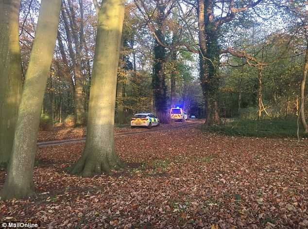 Над Великобританией столкнулись самолет и вертолет: подробности и фото авиакатастрофы