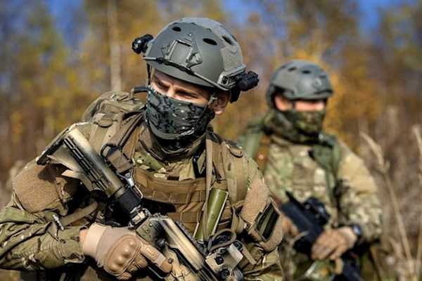 Спецоперация на Закарпатье: всплыли интересные данные о владельце частной границы