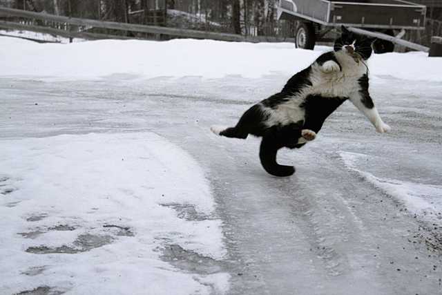 Завтра в Украине обещают гололед и мороз до 10 градусов