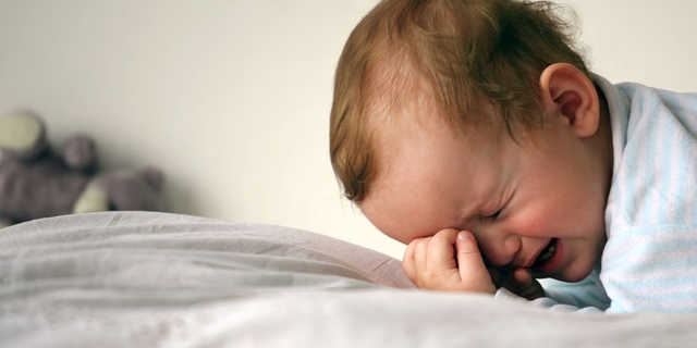 Появилось фото женщины, выбросившей чужого ребенка из окна многоэтажки в Запорожье