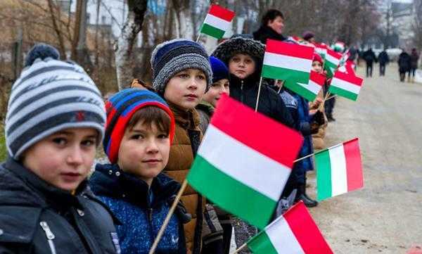 Не розуміють. Українські угорці та румуни у школах практично не вивчають українську