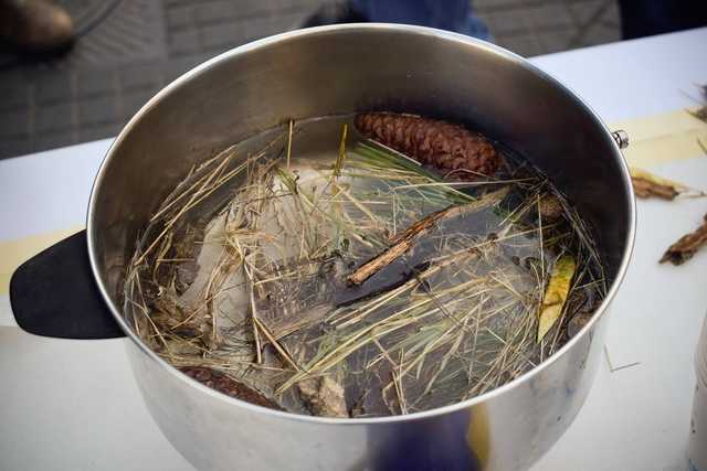 Украинцы накормили израильтян худшим супом в мире