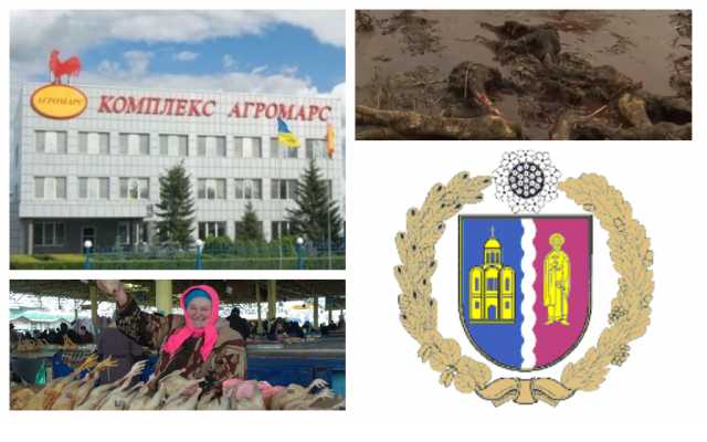 Гавриловский бунт. Жители Вышгородского района ополчились против птицефермы за экоцид